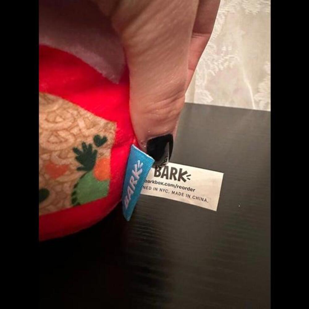Bark Box Ramen Noodle Bowl Plush Dog Toy - "Pho-Nomenal" Fun - Picture 2 of 3